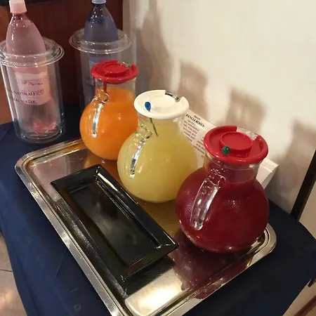 酒店 阿尔堪杰罗酒店 里米尼