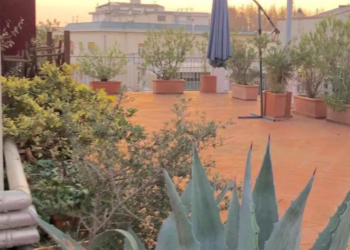 Hotel Roof
